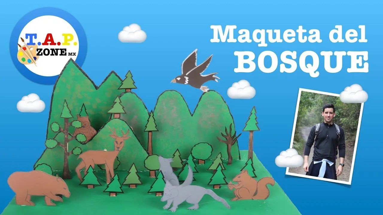 Como hacer la Maqueta del Bosque - TAP ZONE Mx - YouTube