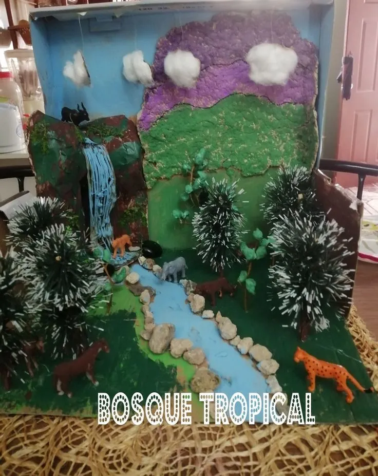 Maqueta de bosque tropical para primaria | Maquetas de bosques, Maquetas de  paisajes, Bosque tropical