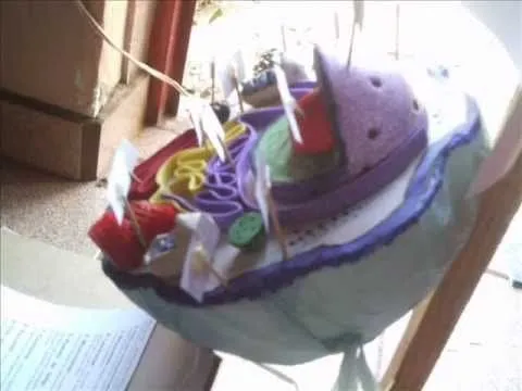 maqueta de celula animal - YouTube