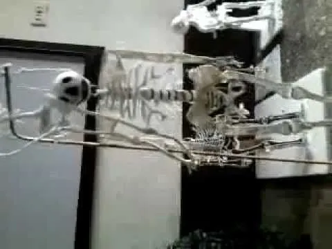 Maqueta del esqueleto Humano 1y 2 - YouTube