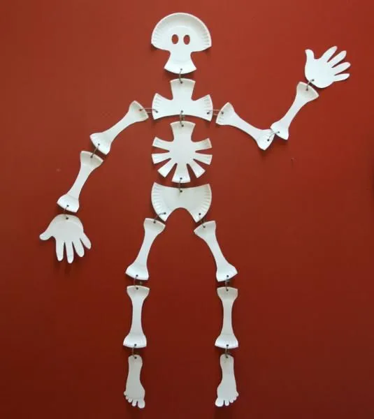 Maqueta de esqueleto humano - Imagui