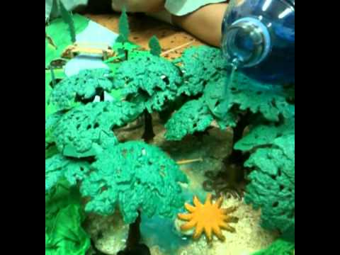 MAQUETA MANGLAR.mpg - YouTube