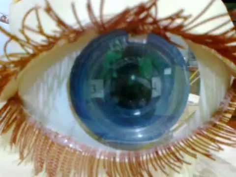 MAQUETA DEL OJO HUMANO. MODEL OF THE EYE - YouTube MAQUETA DEL OJO HUMANO. MODEL OF THE EYE - YouTube