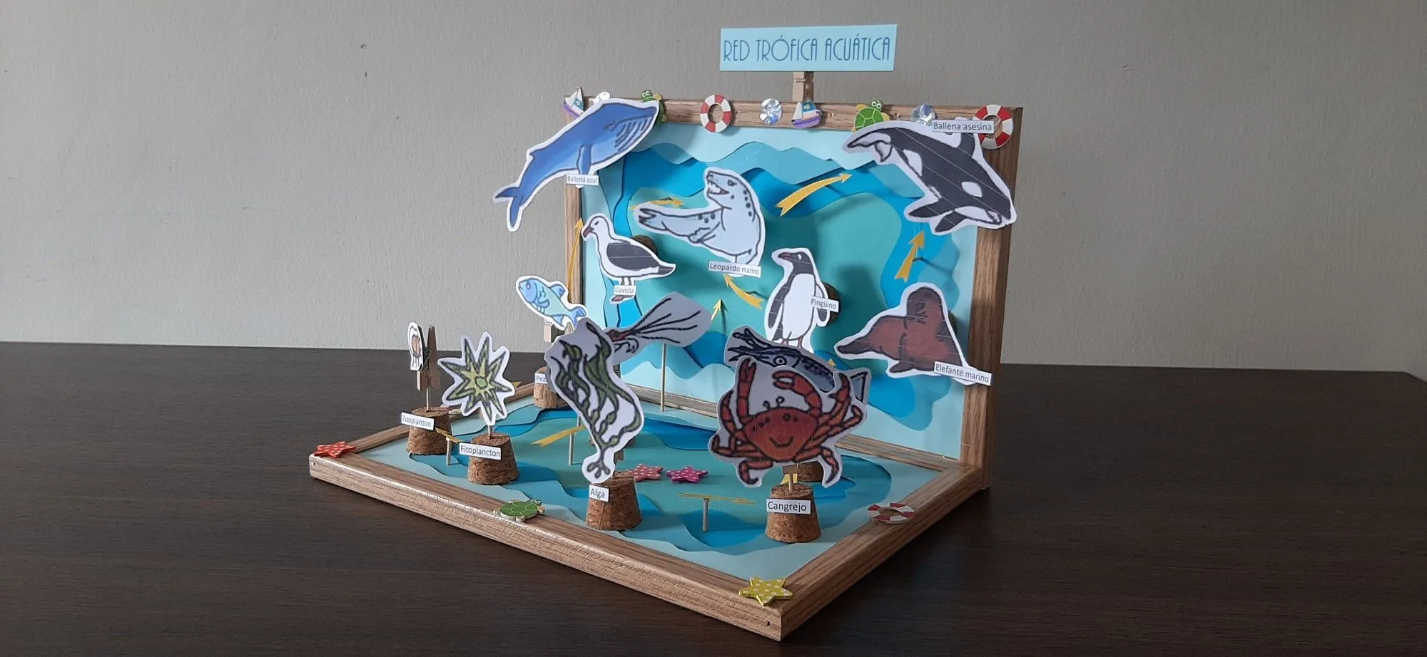 Maqueta red trófica acuática | Red trofica, Maquetas, Cajas de regalo Maqueta red trófica acuática | Red trofica, Maquetas, Cajas de regalo