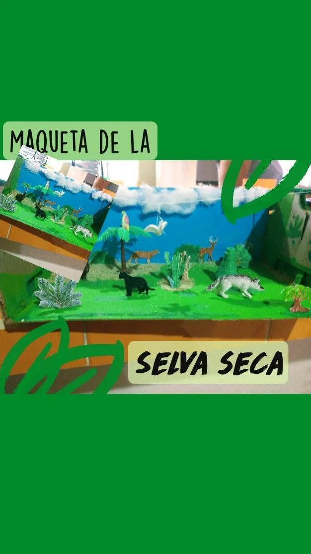 Maqueta de la Selva seca | Selva, Animales de plástico, Seco Maqueta de la Selva seca | Selva, Animales de plástico, Seco
