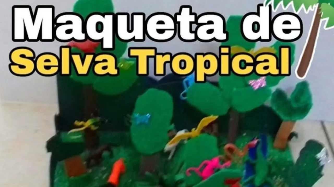 Como Hacer una Maqueta de Selva Tropical 