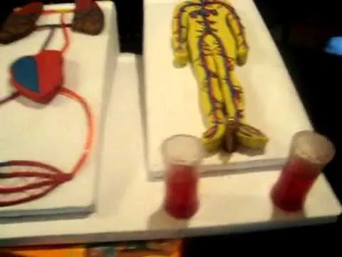 maqueta del sistema circulatorio en ingles..flv - YouTube maqueta del sistema circulatorio en ingles..flv - YouTube