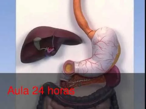 hqdefault.jpg hqdefault.jpg