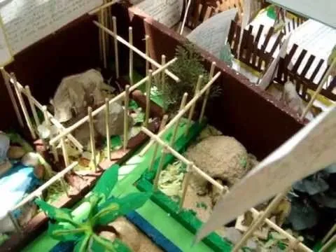 maqueta de zoológico - Naomi castro.. esc. artemio alpizar ... maqueta de zoológico - Naomi castro.. esc. artemio alpizar ...