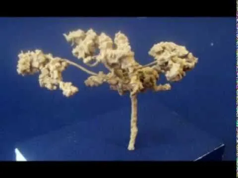 como hacer maquetas de :arbol_01 - http://www.MaquetasSinSecretos ...