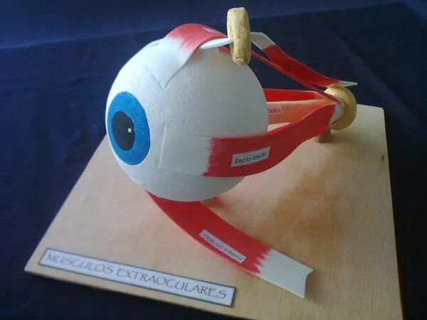 Maquetas y Arte (@MAQUETAS_QUITO) | Twitter Maquetas y Arte (@MAQUETAS_QUITO) | Twitter