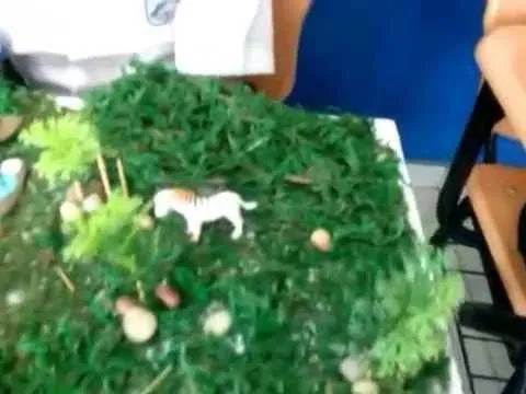 maquetas sobre ecosistemas, niños de cuarto grado - YouTube maquetas sobre ecosistemas, niños de cuarto grado - YouTube