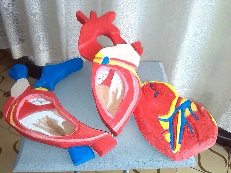 Maquetas escolares corazón | Maquetas de todo tipo | Pinterest Maquetas escolares corazón | Maquetas de todo tipo | Pinterest