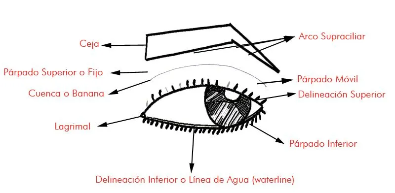 maquillaje de ojos | Making Make-Up