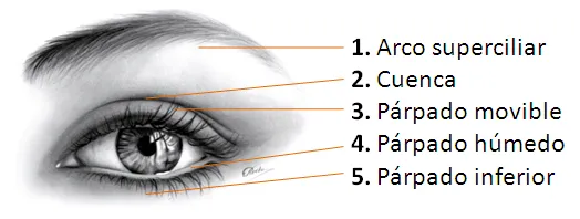 Maquillaje profesional, paso a paso: Equipo de maquillaje Maquillaje profesional, paso a paso: Equipo de maquillaje