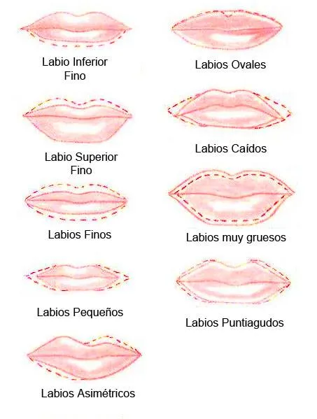 Maquillar los labios según su forma - Curso de Maquillaje Online Maquillar los labios según su forma - Curso de Maquillaje Online