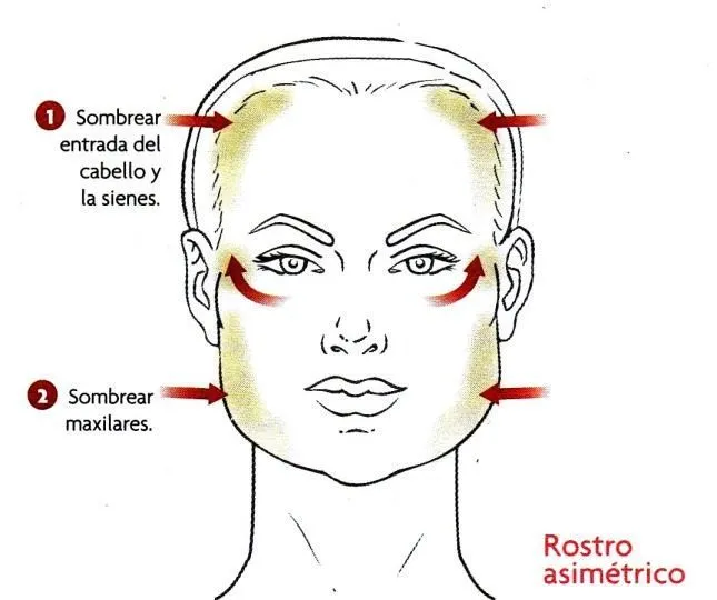 Cómo Maquillarse según el Tipo de Rostro – Maquillando Pómulos y ... Cómo Maquillarse según el Tipo de Rostro – Maquillando Pómulos y ...
