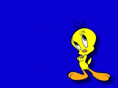 Fondo piolin - Imagui