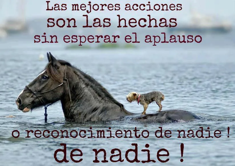 Lejos del mar: Buenas acciones