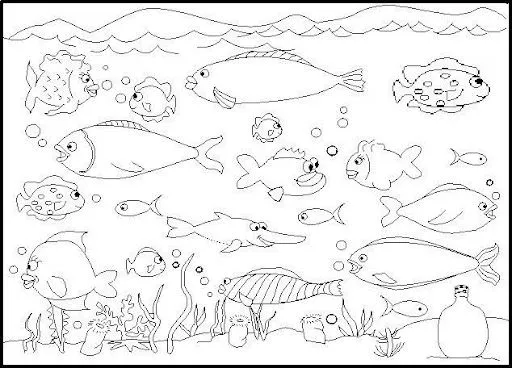 Ecosistema acuático para dibujar y colorear - Imagui