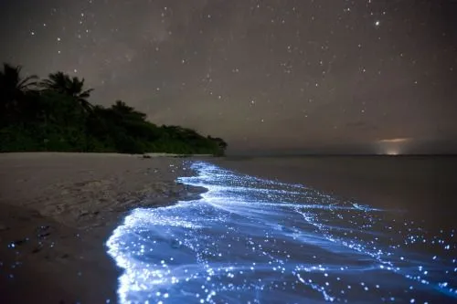 mar de estrellas | Tumblr