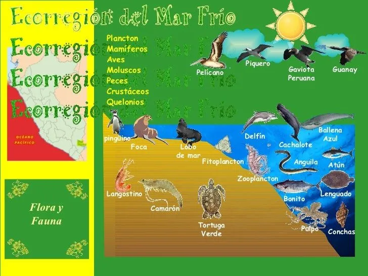 Mar Frío