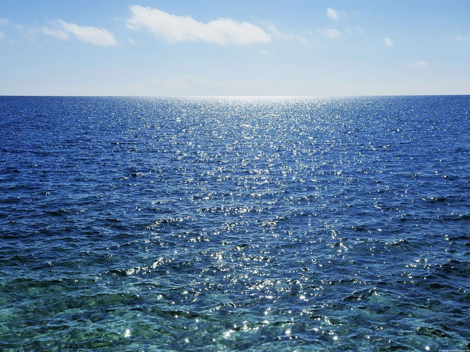 mar-infinito-10294.jpg