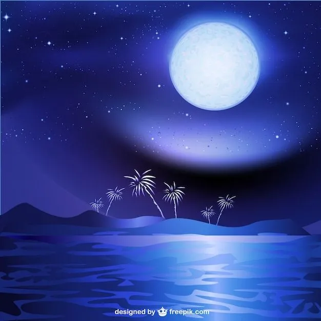 Mar de la noche paisaje de fondo | Descargar Vectores gratis Mar de la noche paisaje de fondo | Descargar Vectores gratis