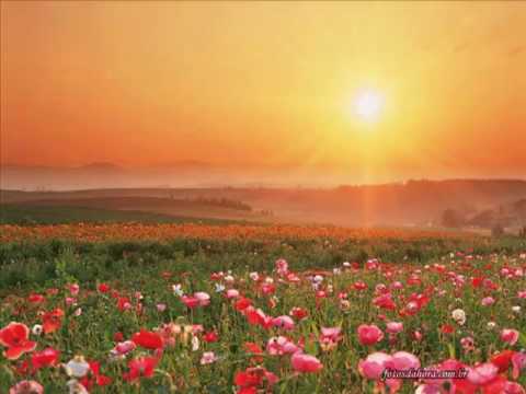 Mar de Rosas - Jair Pires - VAGALUME