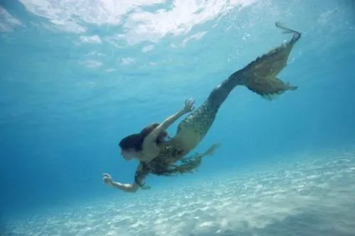 En el mar de la vida Todo es posible~~"La ilusión de ser otr ... En el mar de la vida Todo es posible~~"La ilusión de ser otr ...