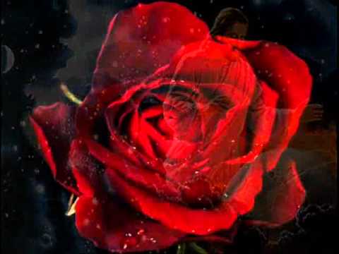 mara lima - YouTube