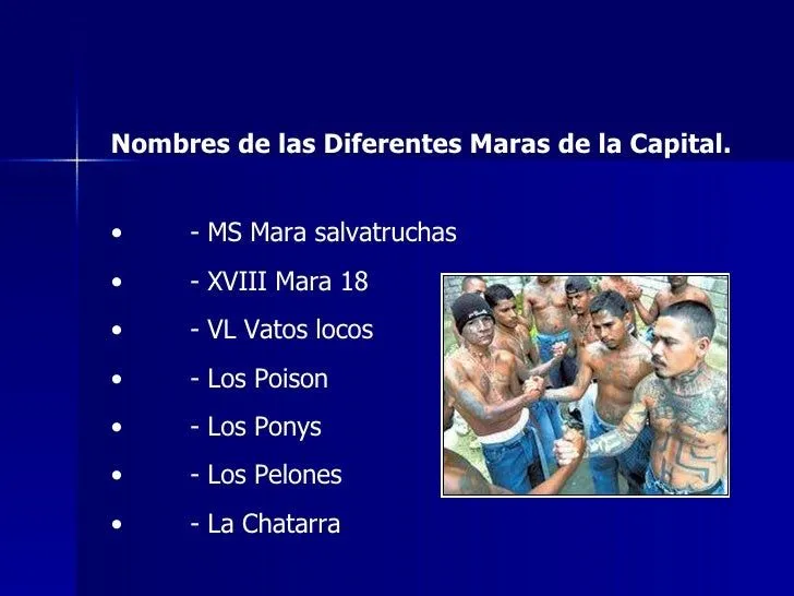 maras-14-728.jpg?cb=1214299855