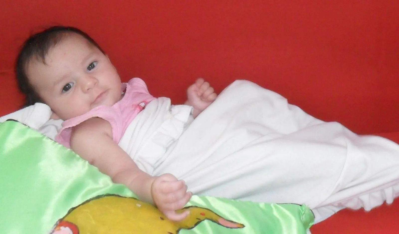 maravilhas da vida j24: fotos de bebês