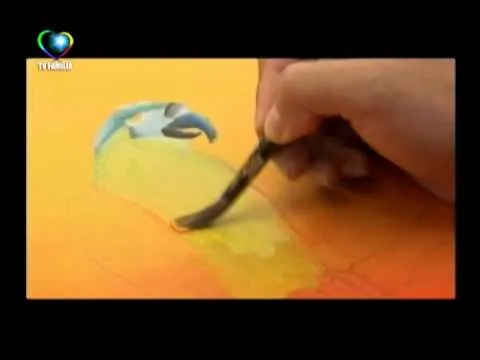 MARAVILLOSO MUNDO PINTURA CON LOROS 02 - YouTube MARAVILLOSO MUNDO PINTURA CON LOROS 02 - YouTube