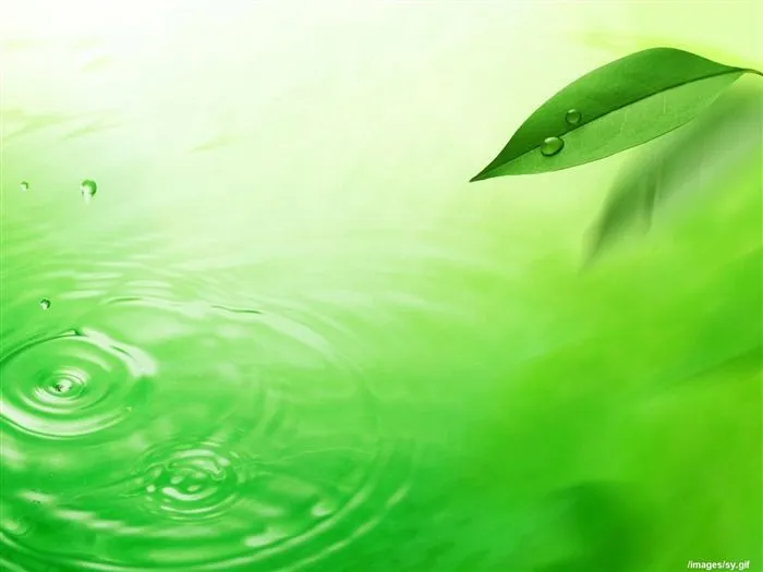 Fondos de pantalla verde agua - Imagui