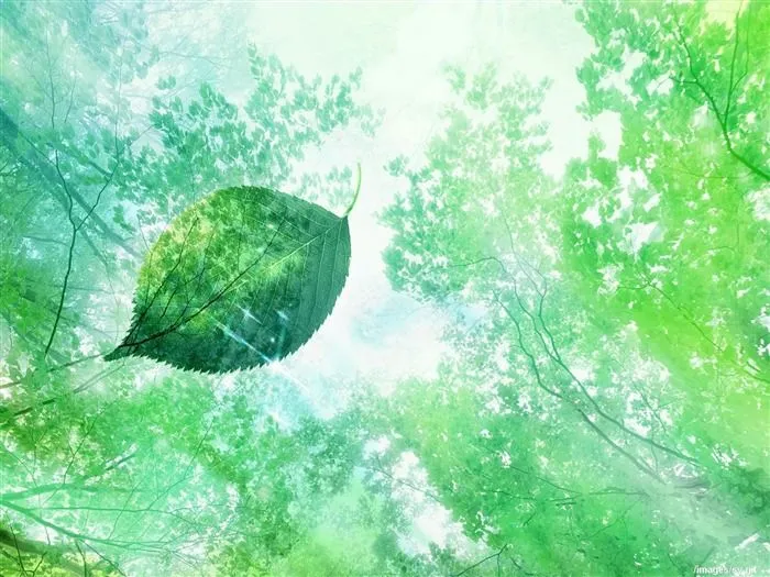 Fondos de 15 - Imagui