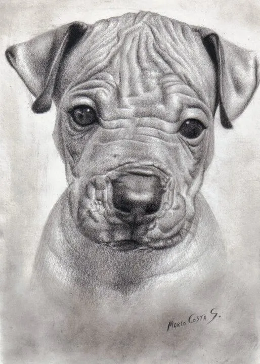 Marco Costa Artista Visual: junio 2014