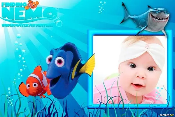 Marco para foto de "Buscando a Nemo"