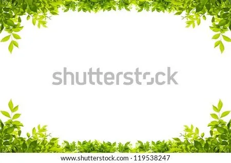 Marco De Hojas Verdes Sobre Fondo Blanco Imagen de archivo (stock ... Marco De Hojas Verdes Sobre Fondo Blanco Imagen de archivo (stock ...