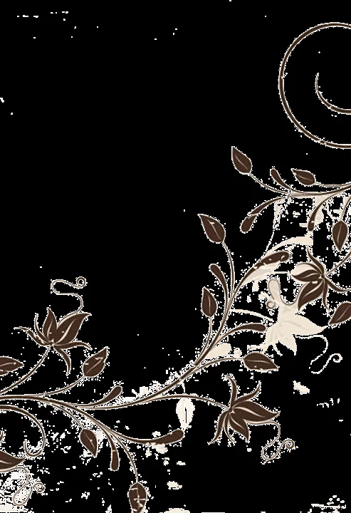 Marco png boda - Imagui