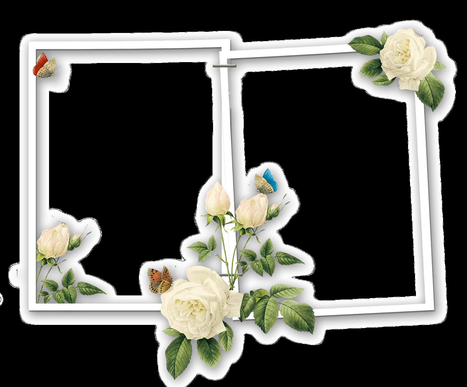 marcos florales para fotos formato png gratis MEMES Pictures