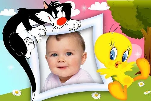 Marcos de piolin para fotos - Imagui