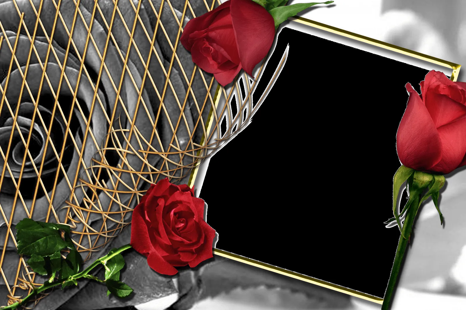 Marcos Para Fotos Png Flores Wallpapers | Real Madrid Wallpapers Marcos Para Fotos Png Flores Wallpapers | Real Madrid Wallpapers