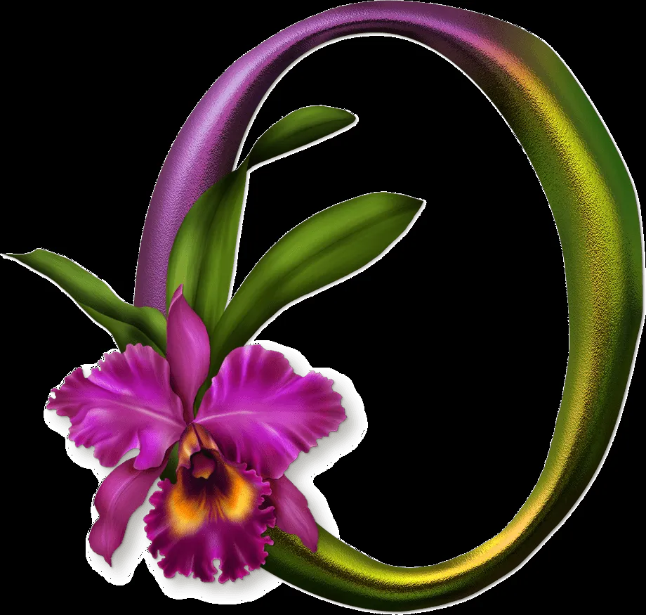 MARCOS GRATIS PARA FOTOS: ABECEDARIO DE FRUTAS Y FLORES PNG MARCOS GRATIS PARA FOTOS: ABECEDARIO DE FRUTAS Y FLORES PNG