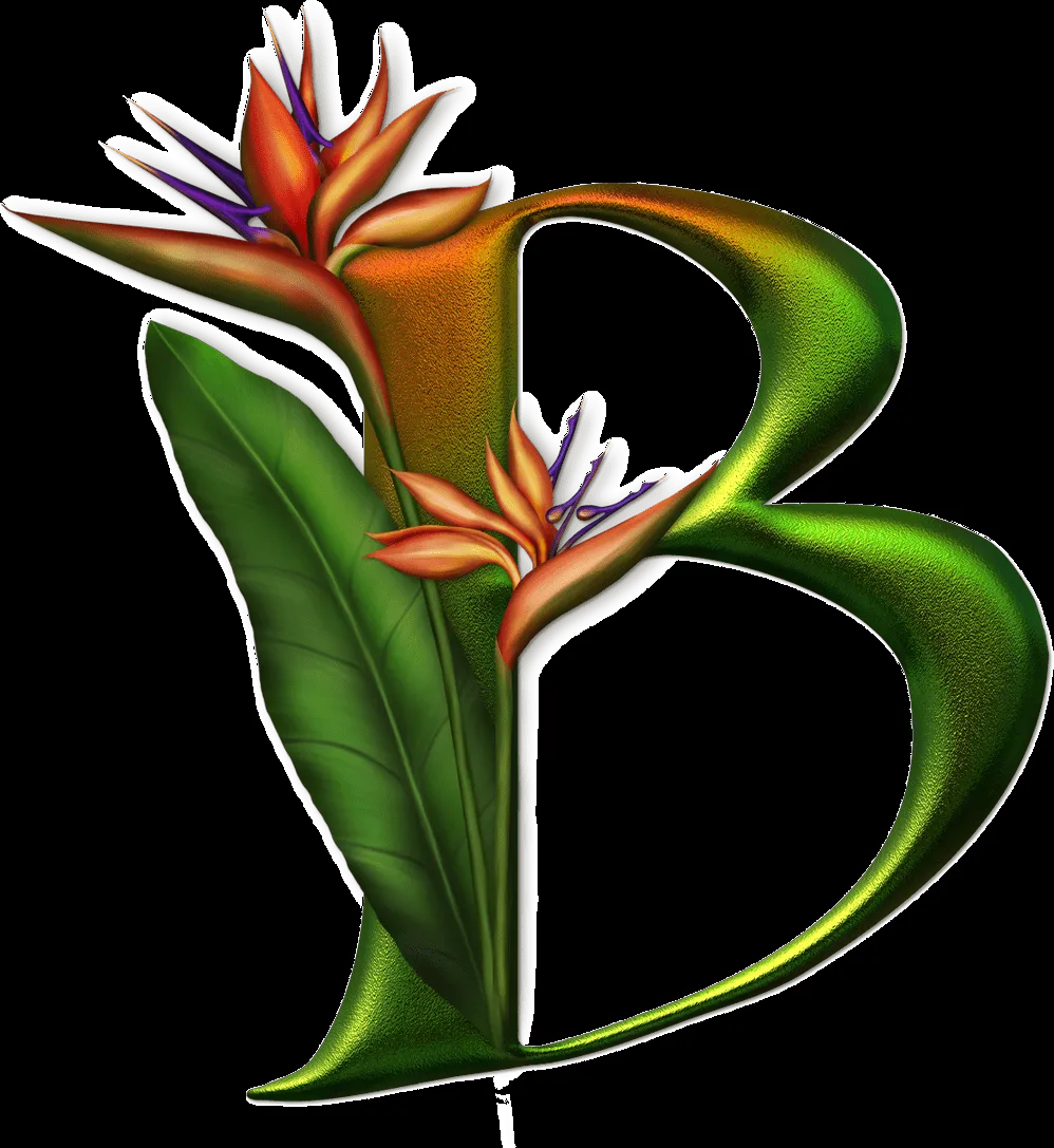MARCOS GRATIS PARA FOTOS: ABECEDARIO DE FRUTAS Y FLORES PNG MARCOS GRATIS PARA FOTOS: ABECEDARIO DE FRUTAS Y FLORES PNG