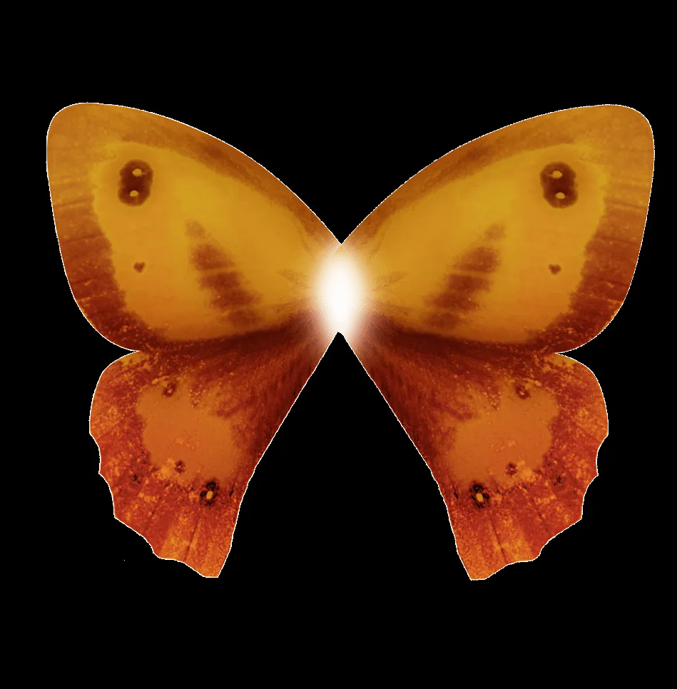MARCOS GRATIS PARA FOTOS: ALAS DE MARIPOSA PNG PARA PHOTOSHOP MARCOS GRATIS PARA FOTOS: ALAS DE MARIPOSA PNG PARA PHOTOSHOP