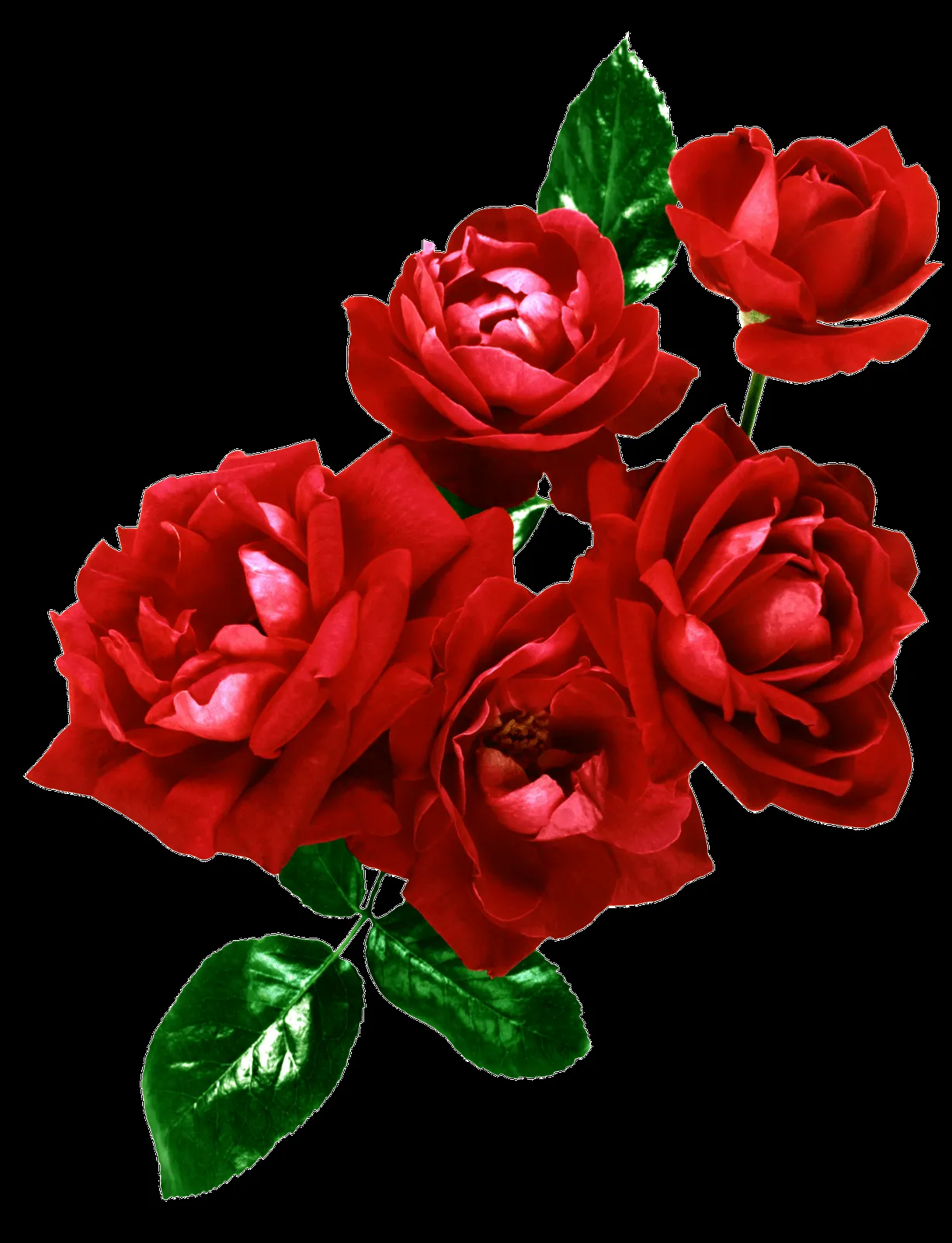 MARCOS GRATIS PARA FOTOS: FLORES PNG, RAMOS, ETC, RENDERS MARCOS GRATIS PARA FOTOS: FLORES PNG, RAMOS, ETC, RENDERS