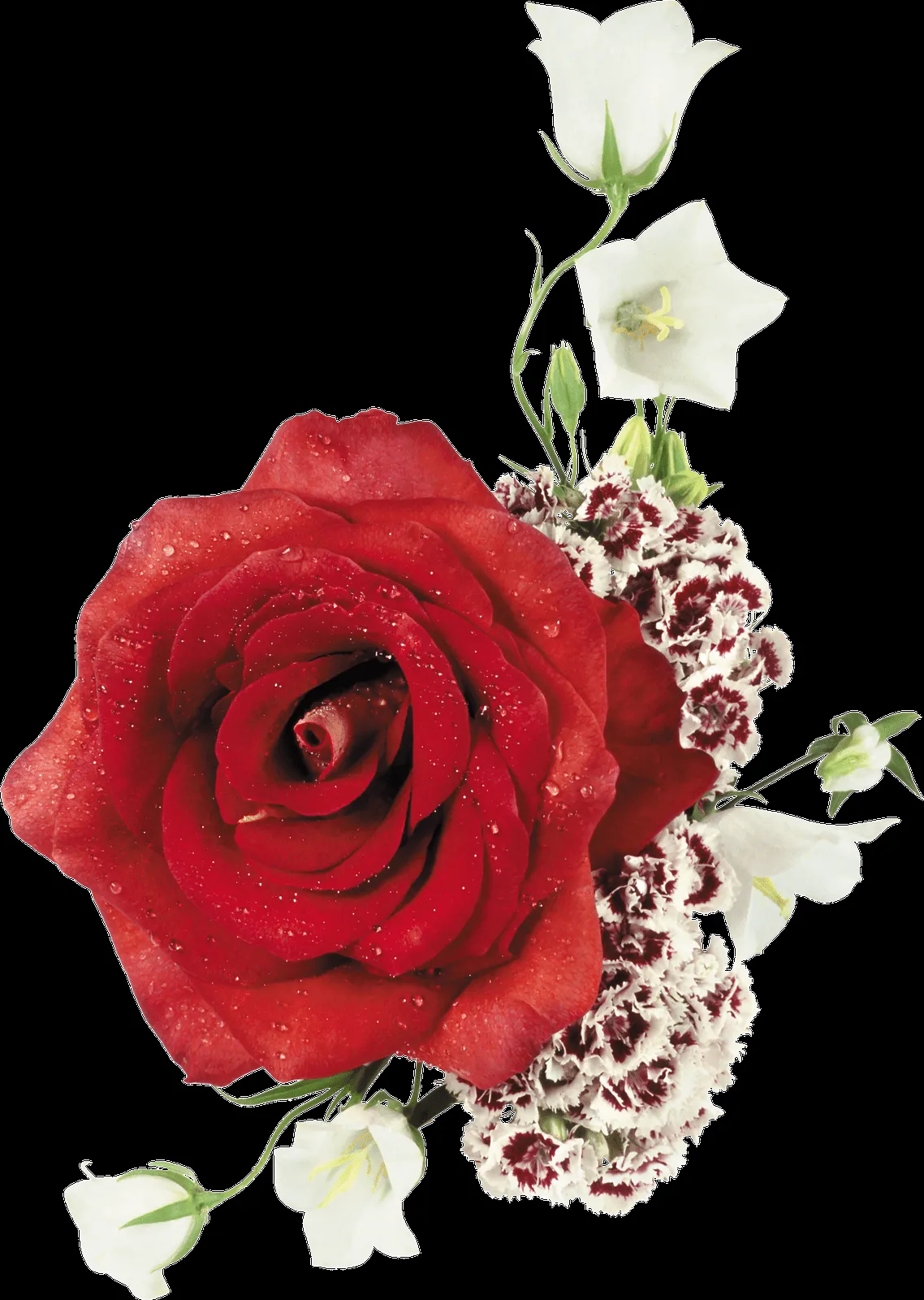 MARCOS GRATIS PARA FOTOS: FLORES PNG, RAMOS, ETC, RENDERS MARCOS GRATIS PARA FOTOS: FLORES PNG, RAMOS, ETC, RENDERS