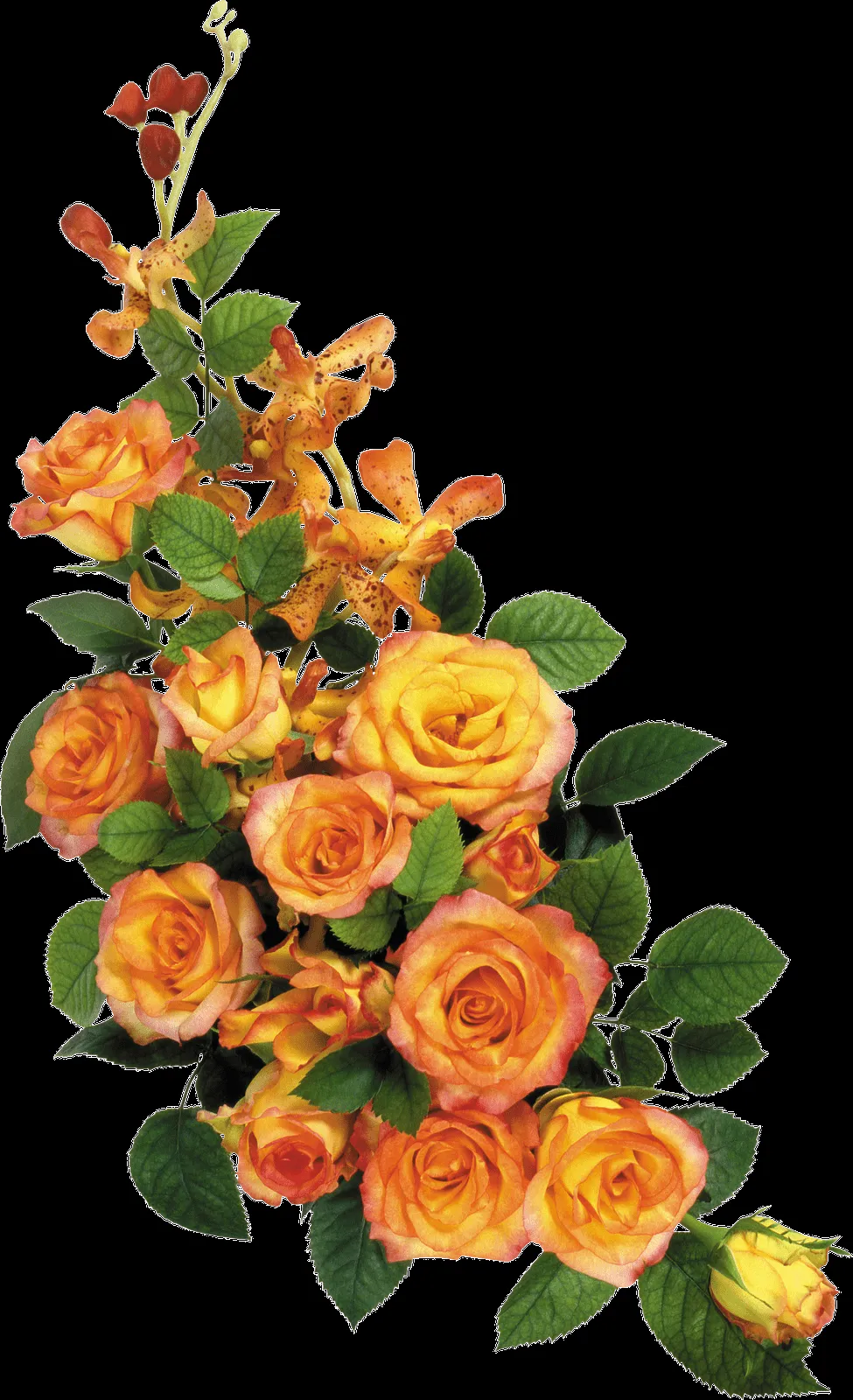 MARCOS GRATIS PARA FOTOS: FLORES PNG, RAMOS, ETC, RENDERS MARCOS GRATIS PARA FOTOS: FLORES PNG, RAMOS, ETC, RENDERS