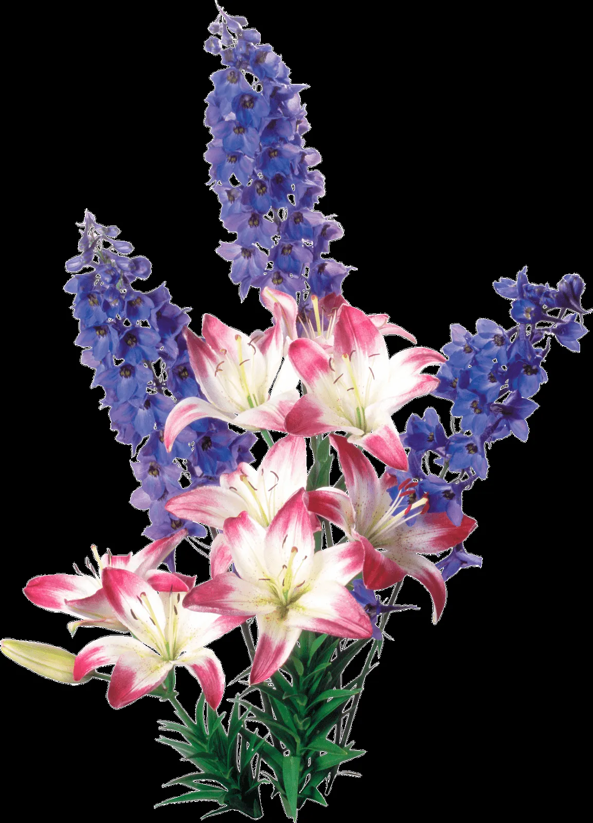 MARCOS GRATIS PARA FOTOS: FLORES PNG, RENDERS DE FLORES,